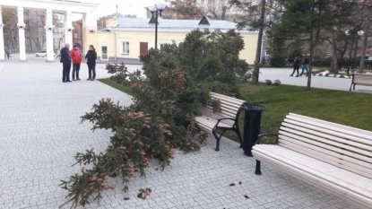 Центральный парк опустошил бюджет на 3,5 миллиона рублей 