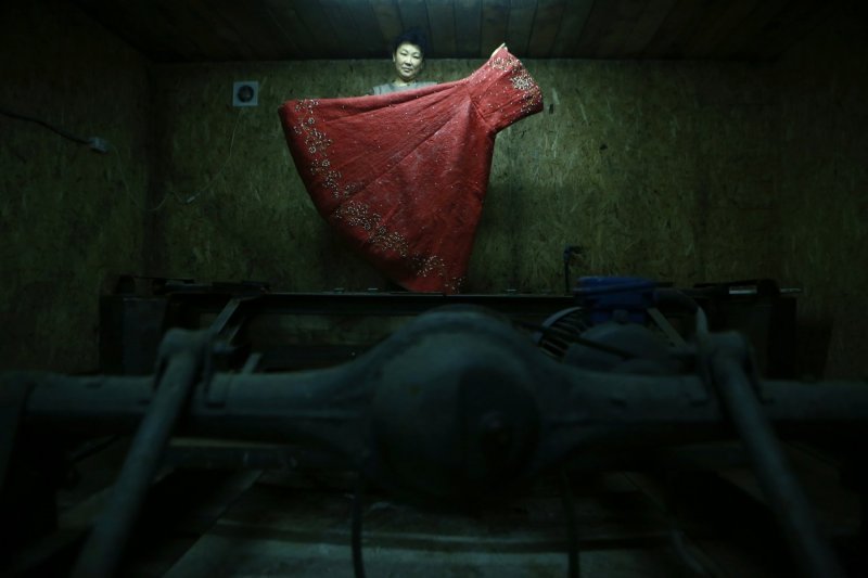 Новосибирский художник повезет алтайское платье в Китай