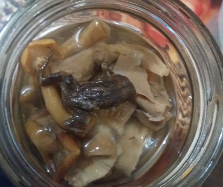 Найденная в банке с грибами лягушка приехала из Китая