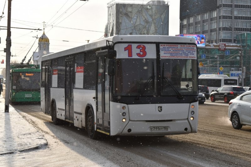 Общественники Шлюза просят губернатора спасти автобусы
