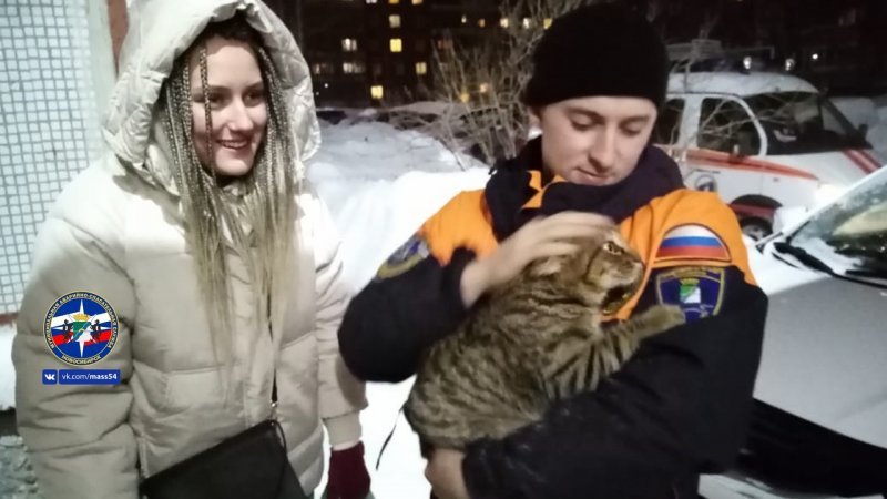 Спасатели помогли девушке вытащить голову кошки из трубы