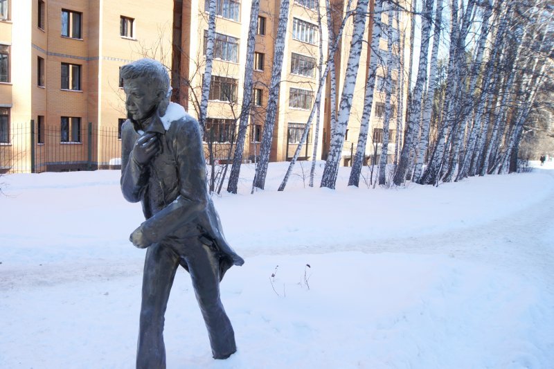 Февраль принесет в Новосибирскую область оттепель