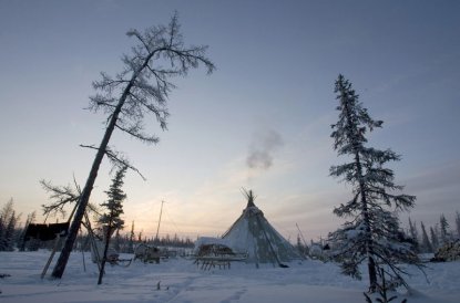 Сибирь ожидает климатическая катастрофа