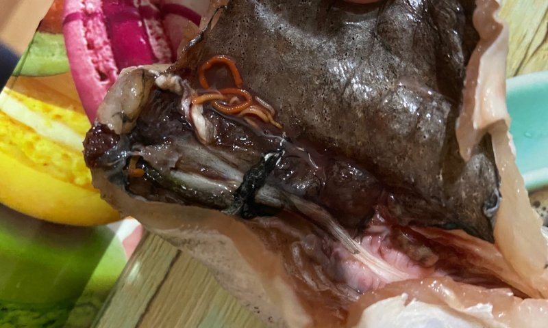 Омерзительную рыбу с червями увидели новосибирцы в магазине 