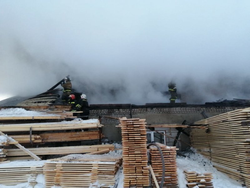 «Вспыхнула как спичка»: пожарные тушили пилораму в Куйбышеве 