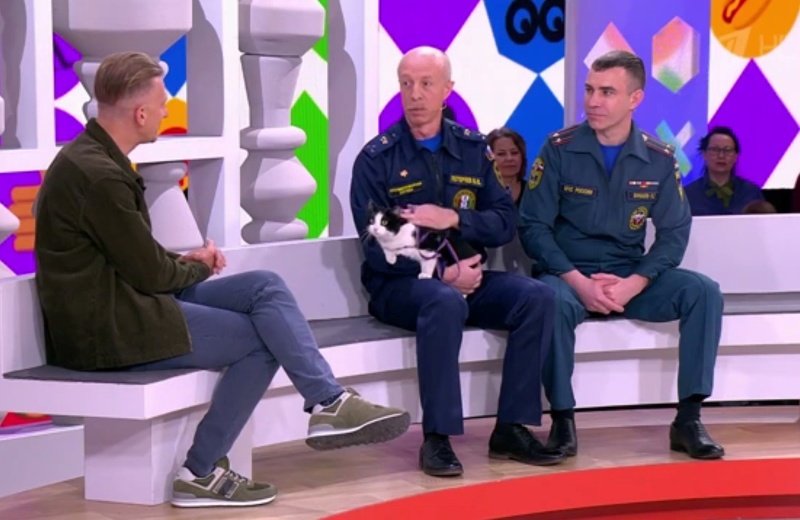 Его зовут Гидрант: новосибирский кот-пожарный покорил Россию
