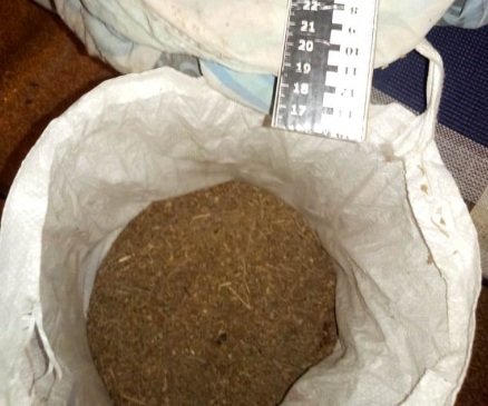 Массовые запасы марихуаны обнаружены в Искитимском районе 