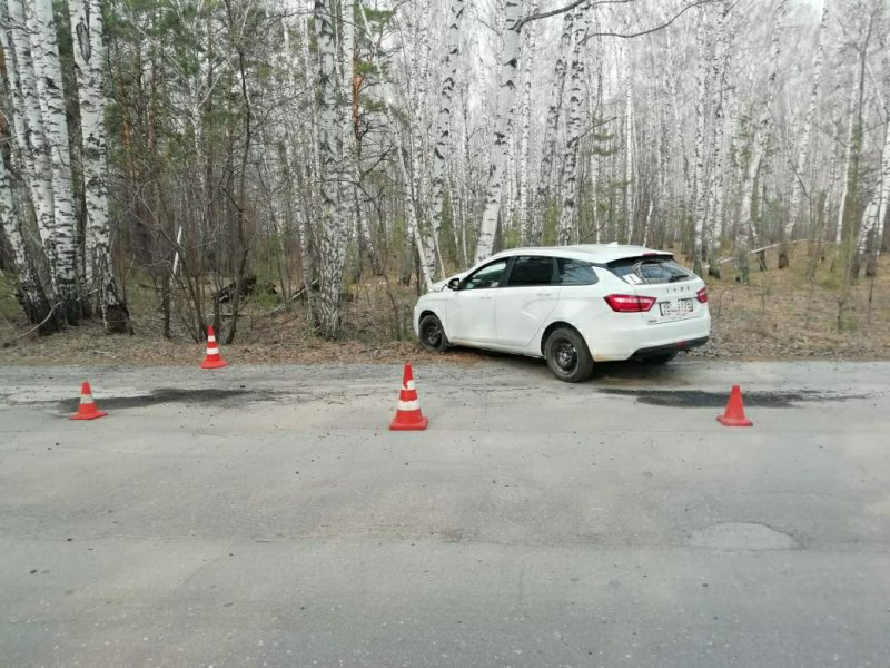 Водитель с ребенком врезался в дерево у Ботанического сада 