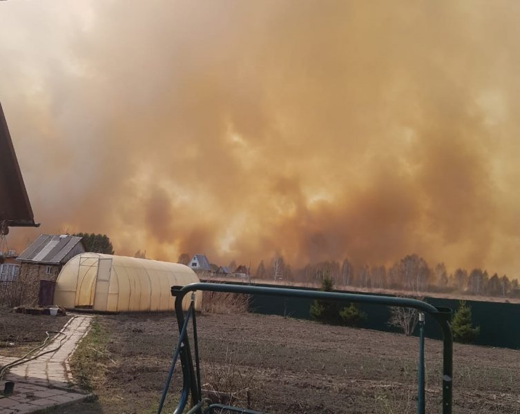 Лесной пожар накрывает пригороды Новосибирска