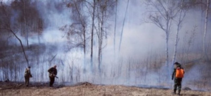 Мэрия Ангарска заплатит 100 тыс. рублей за фото поджигателей леса 