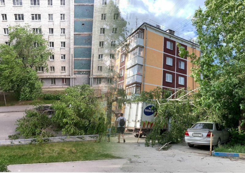 «Валит деревья и столбы»: последствия урагана в Новосибирске