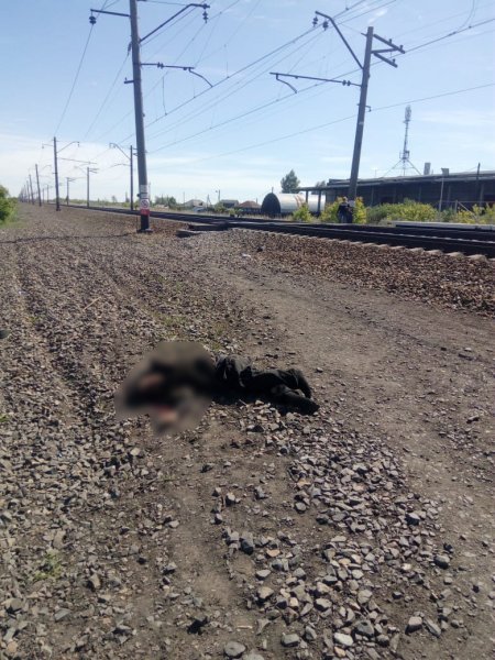 На станции Татарская поезд убил 80-летнего дедушку 