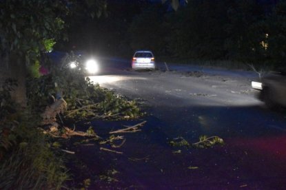 Чиновники Ленинской администрации  ответят за смерть мужчины от упавшего в ураган дерева 