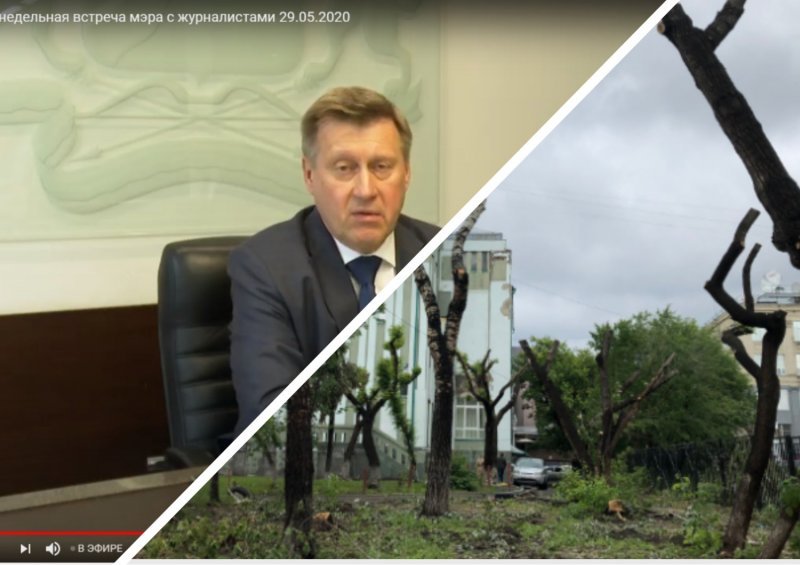 Мэр Локоть оправдывался за вырубку деревьев в центре Новосибирска