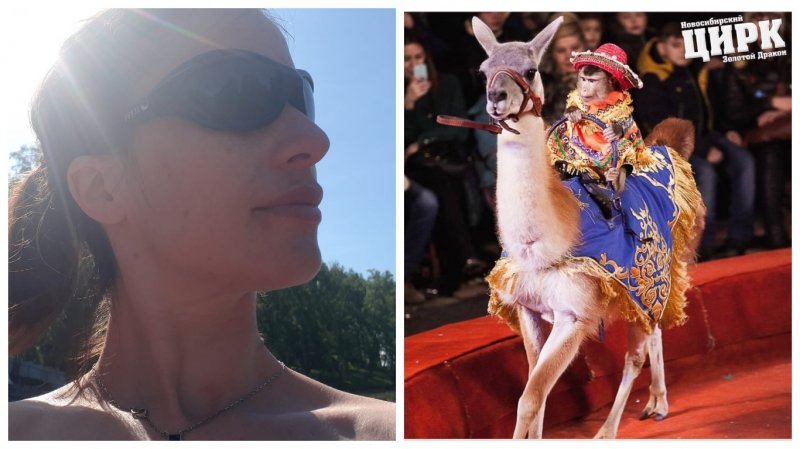 «Их мучают в клетках»: новосибирская активистка судится с цирком из-за постов в Instagram