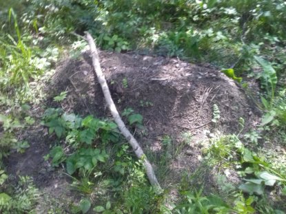 «Цыганская могила?»: Сибиряк нашел около Матвеевки странный холмик