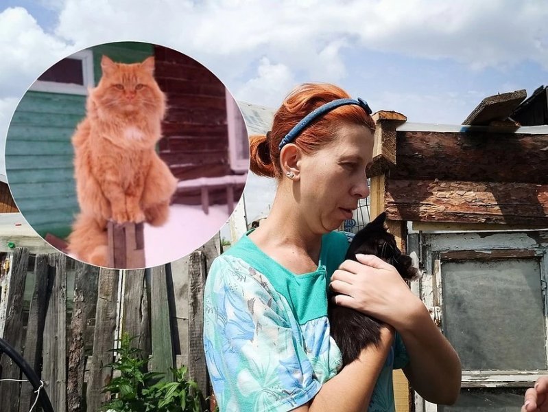 «Не вольер, а концлагерь для питомцев!»: Сибирячка обвинила соседку в краже кота