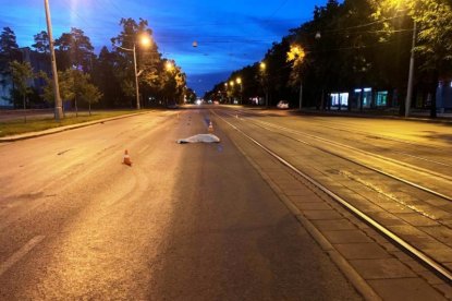 Водитель без прав насмерть сбил ночного пешехода рядом с ЛДС