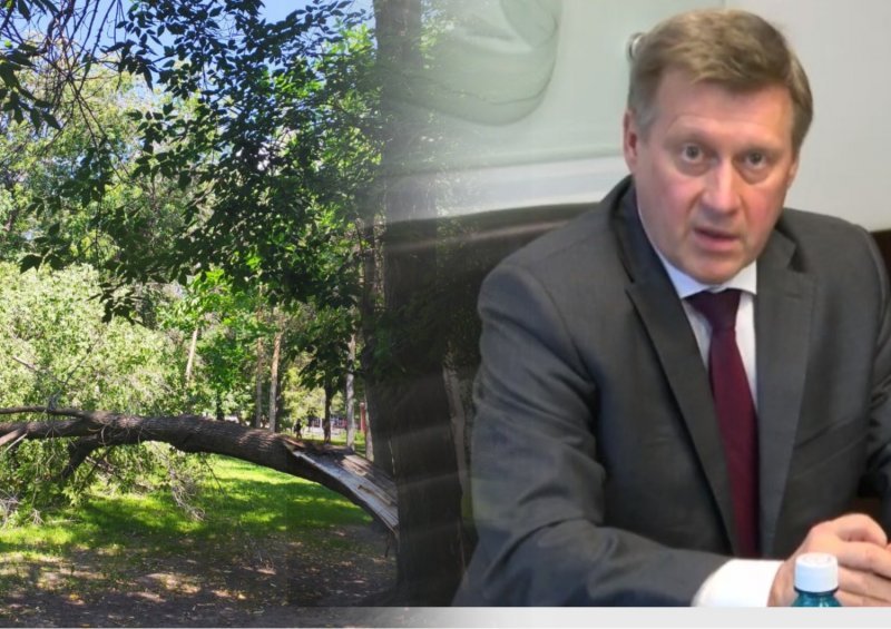 «Новосибирск пережил шквал самостоятельно»: мэр Локоть насчитал 29 упавших деревьев