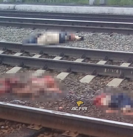 «Никто пьяному мужчине не помог»: пенсионер пытался спасти сибиряка и попал под поезд