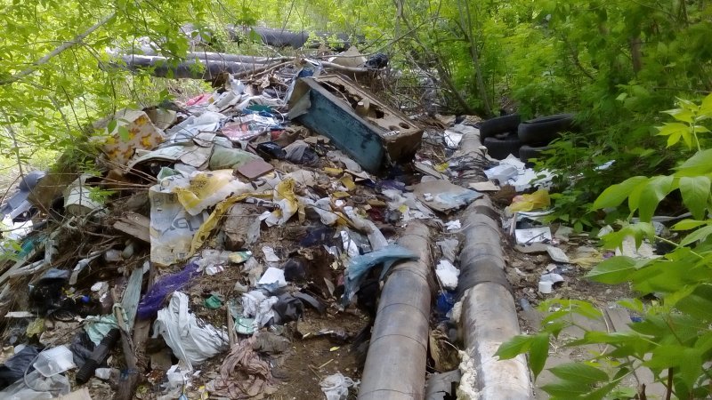 МинЖКХ: мусорный полигон рядом с Бердском строить не будут