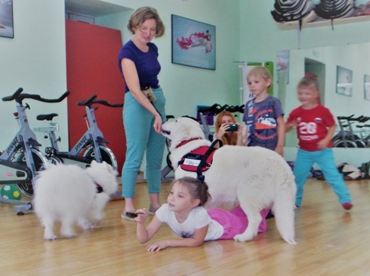 Тревожность у новосибирских детей будут лечить общением с собаками 