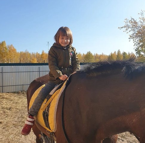 Лошадь помогла заговорить пятилетней девочке с аутизмом