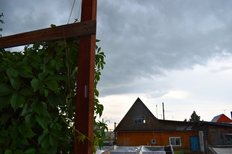 Ветер перемен: после выходных в Новосибирскую область придут дожди