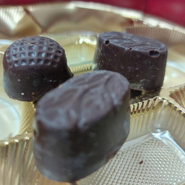 Шоколадный гигант «Нестле» будет производить в Искитимском районе корм для животных 