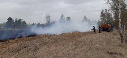 Новосибирские дачники и грибники устроили 13 пожаров за сутки