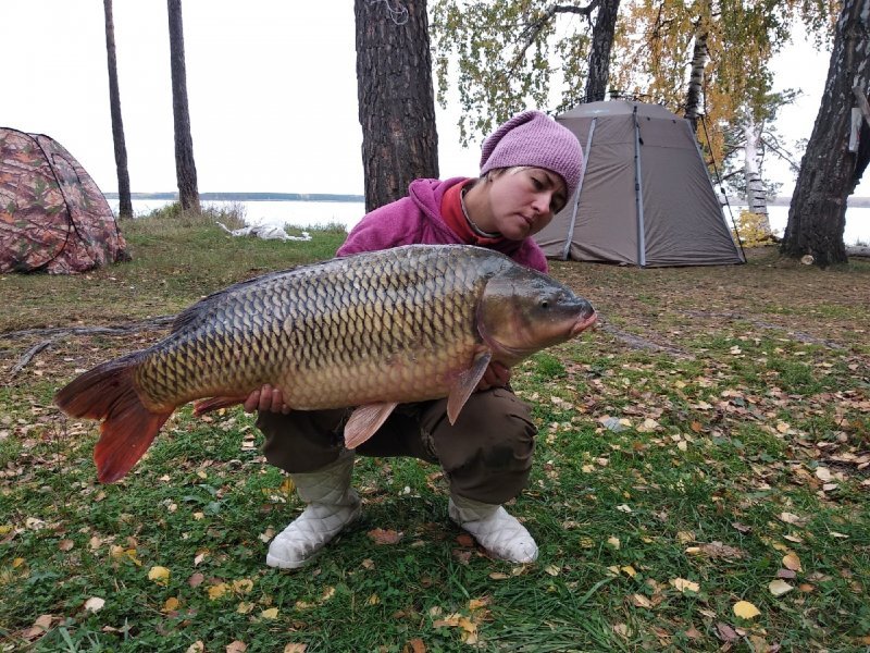 Рыбу-монстра почти в 20 килограммов поймала жительница Новосибирска