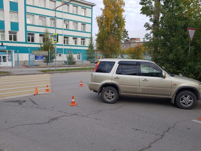 Пенсионерка в Новосибирске сбила двух школьников на пешеходном переходе