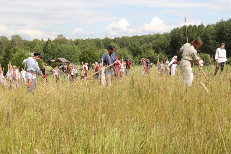 Новосибирская область увеличила экспорт сена