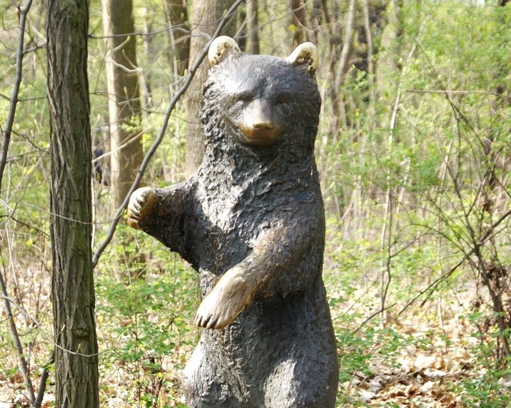 Медведя обнаружили в 50 километрах от Новосибирска