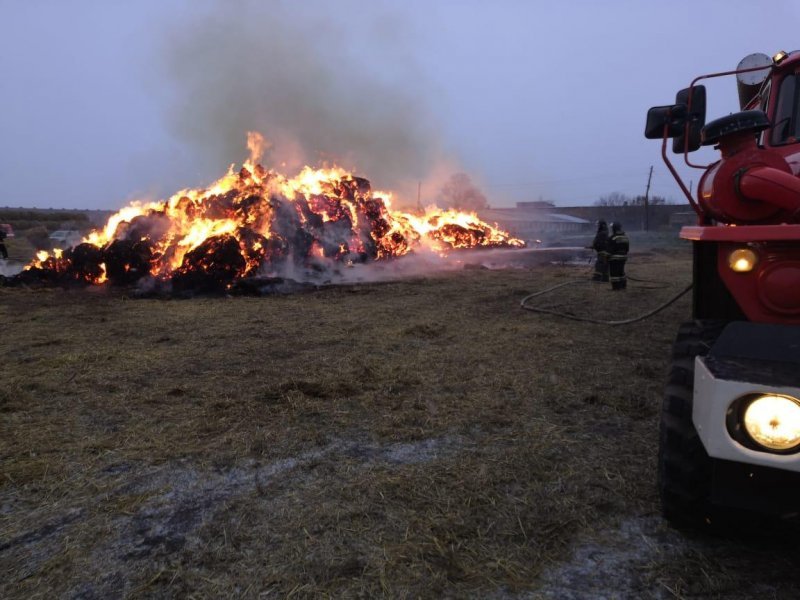 Огонь уничтожил 300 квадратных метров сена и оставил коров голодными