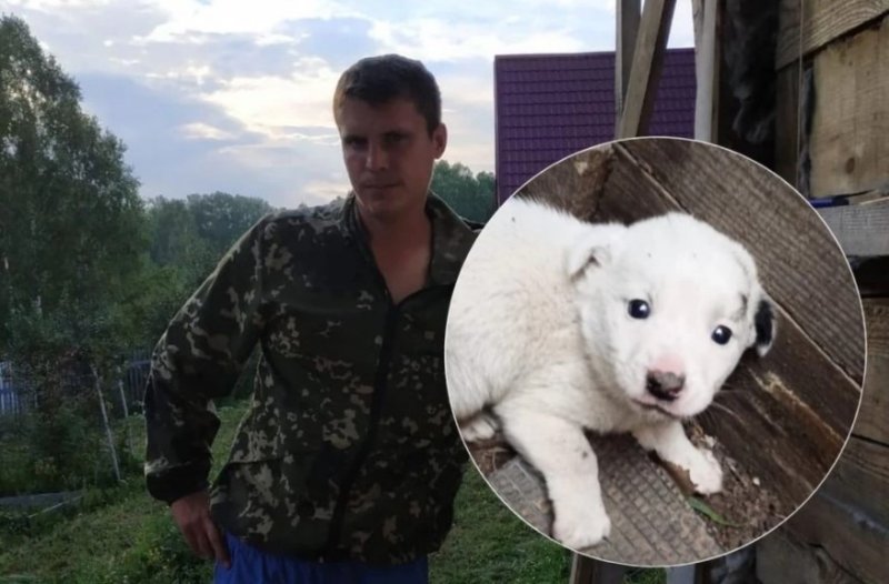 Работник сибирского кладбища спас щенков и стал популярным тик-токером