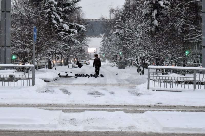 Снег уже не растает: на выходных в Новосибирской области ударят морозы до –17