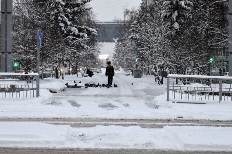 Морозы до 20 градусов надвигаются на Новосибирскую область