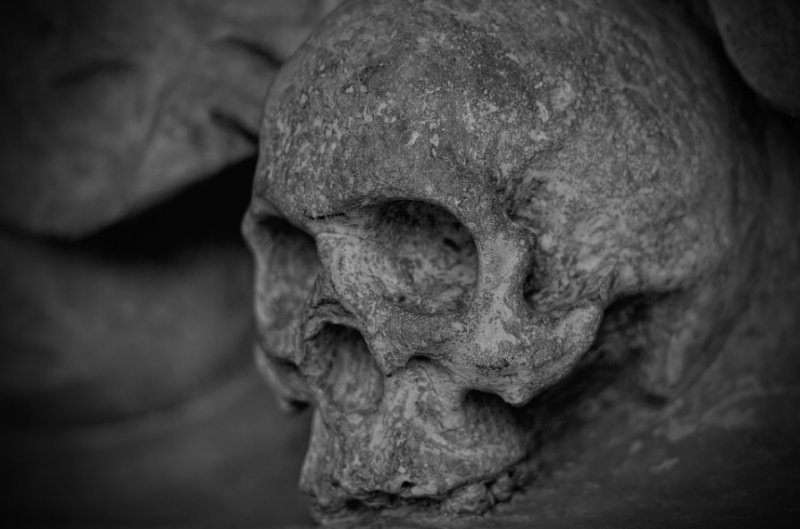 Второй за осень скелет человека нашли на ОбьГЭСе