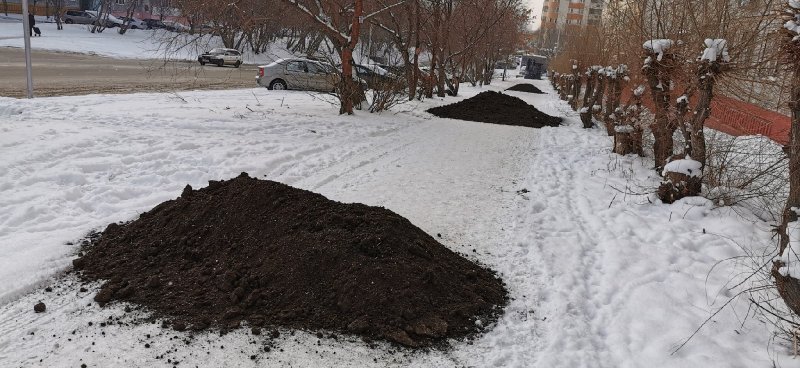 Самое время для благоустройства: свежую землю насыпали поверх снега