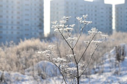 Декабрьские морозы надвигаются на Новосибирскую область