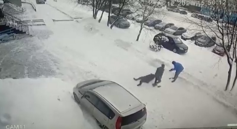 Жестокое избиение мужчины под Новосибирском попало на видео 