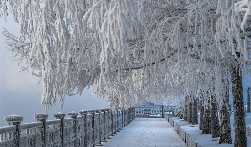 Резкое похолодание до –45 надвигается на Новосибирскую область