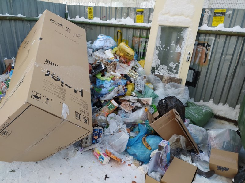 Опять коллапс? «Экология-Новосибирск» оправдалась за переполненные мусорные баки