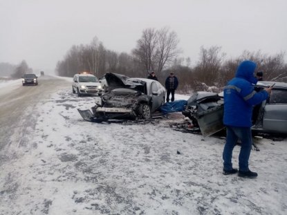 Пять человек пострадали в ДТП на трассе в Новосибирской области