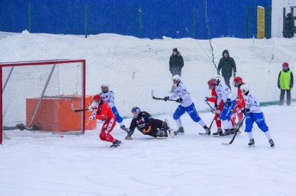 Хоккей с мячом: «Сибсельмаш» не нашел козырей против московского «Динамо»