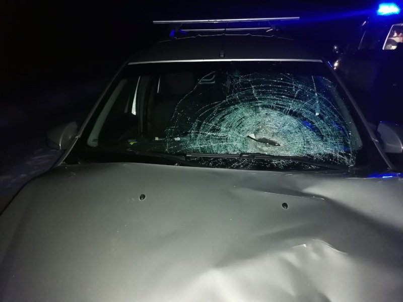 Автомобили сбили двух пешеходов на новосибирских трассах