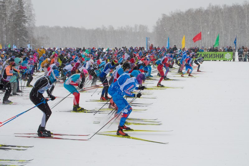 Четыре тысячи новосибирцев пробежали «Лыжню России»