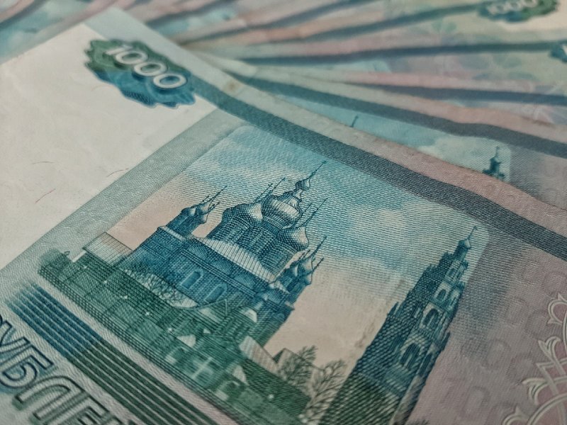 Новосибирского коллектора оштрафовали за собственные долги