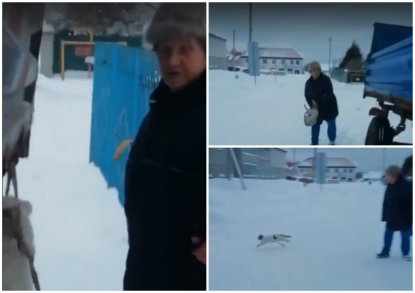 Жительница Новосибирской области на глазах у детей пыталась повесить кота 